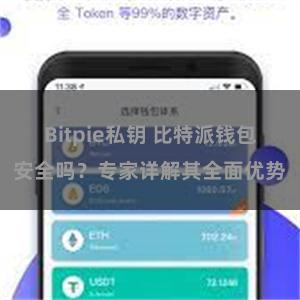 Bitpie私钥 比特派钱包安全吗？专家详解其全面优势