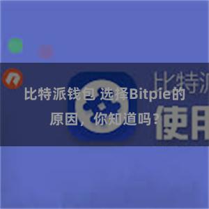 比特派钱包 选择Bitpie的原因，你知道吗？