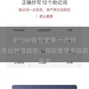 Bitpie钱包使用 一分钟上手比特派钱包，轻松管理多链资产