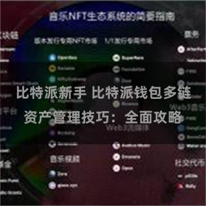 比特派新手 比特派钱包多链资产管理技巧：全面攻略