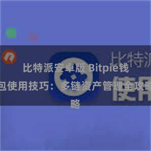 比特派安卓版 Bitpie钱包使用技巧：多链资产管理全攻略