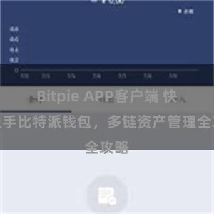 Bitpie APP客户端 快速上手比特派钱包，多链资产管理全攻略