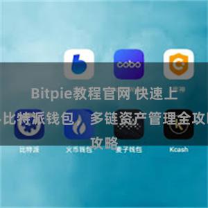 Bitpie教程官网 快速上手比特派钱包，多链资产管理全攻略