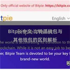 Bitpie中文 比特派钱包与其他钱包的区别解析