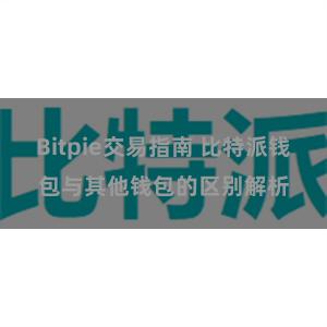 Bitpie交易指南 比特派钱包与其他钱包的区别解析