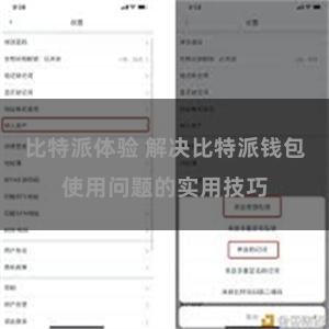 比特派体验 解决比特派钱包使用问题的实用技巧