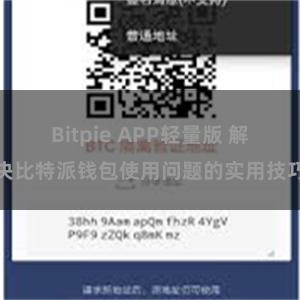 Bitpie APP轻量版 解决比特派钱包使用问题的实用技巧