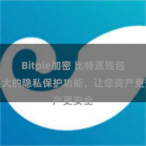 Bitpie加密 比特派钱包：强大的隐私保护功能，让您资产更安全