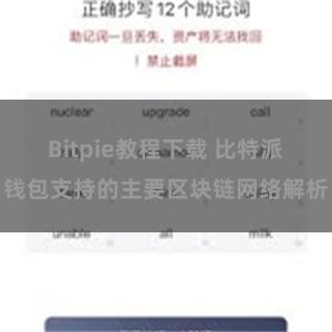 Bitpie教程下载 比特派钱包支持的主要区块链网络解析