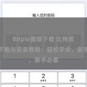 Bitpie直链下载 比特派钱包下载与安装教程：轻松学会，新手必看