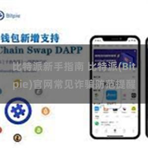 比特派新手指南 比特派(Bitpie)官网常见诈骗防范提醒