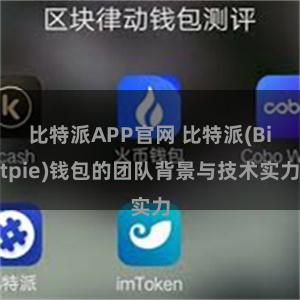 比特派APP官网 比特派(Bitpie)钱包的团队背景与技术实力