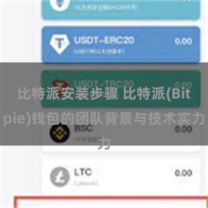 比特派安装步骤 比特派(Bitpie)钱包的团队背景与技术实力