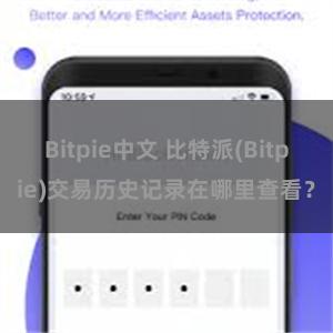 Bitpie中文 比特派(Bitpie)交易历史记录在哪里查看？