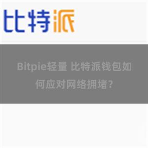 Bitpie轻量 比特派钱包如何应对网络拥堵？