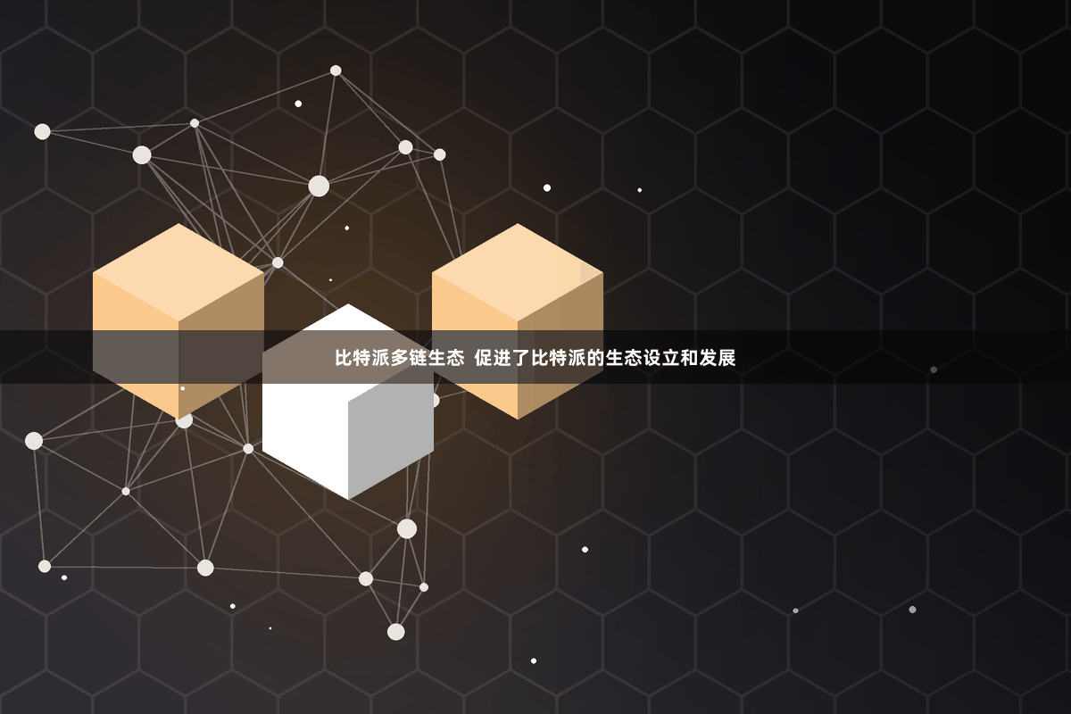 比特派多链生态 促进了比特派的生态设立和发展